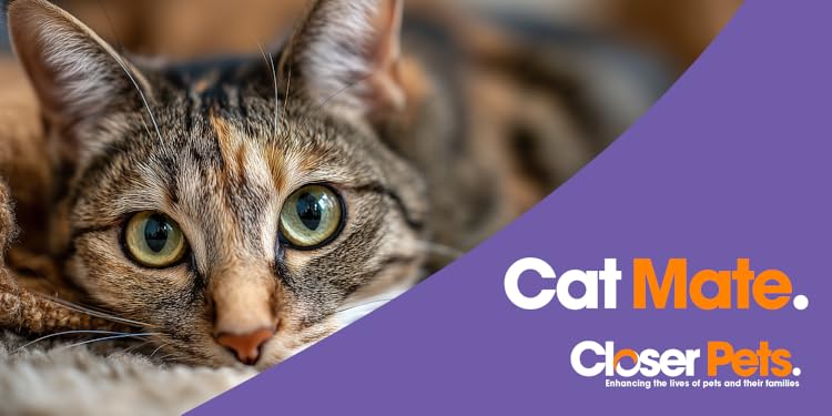 Smart Care for Modern Pets