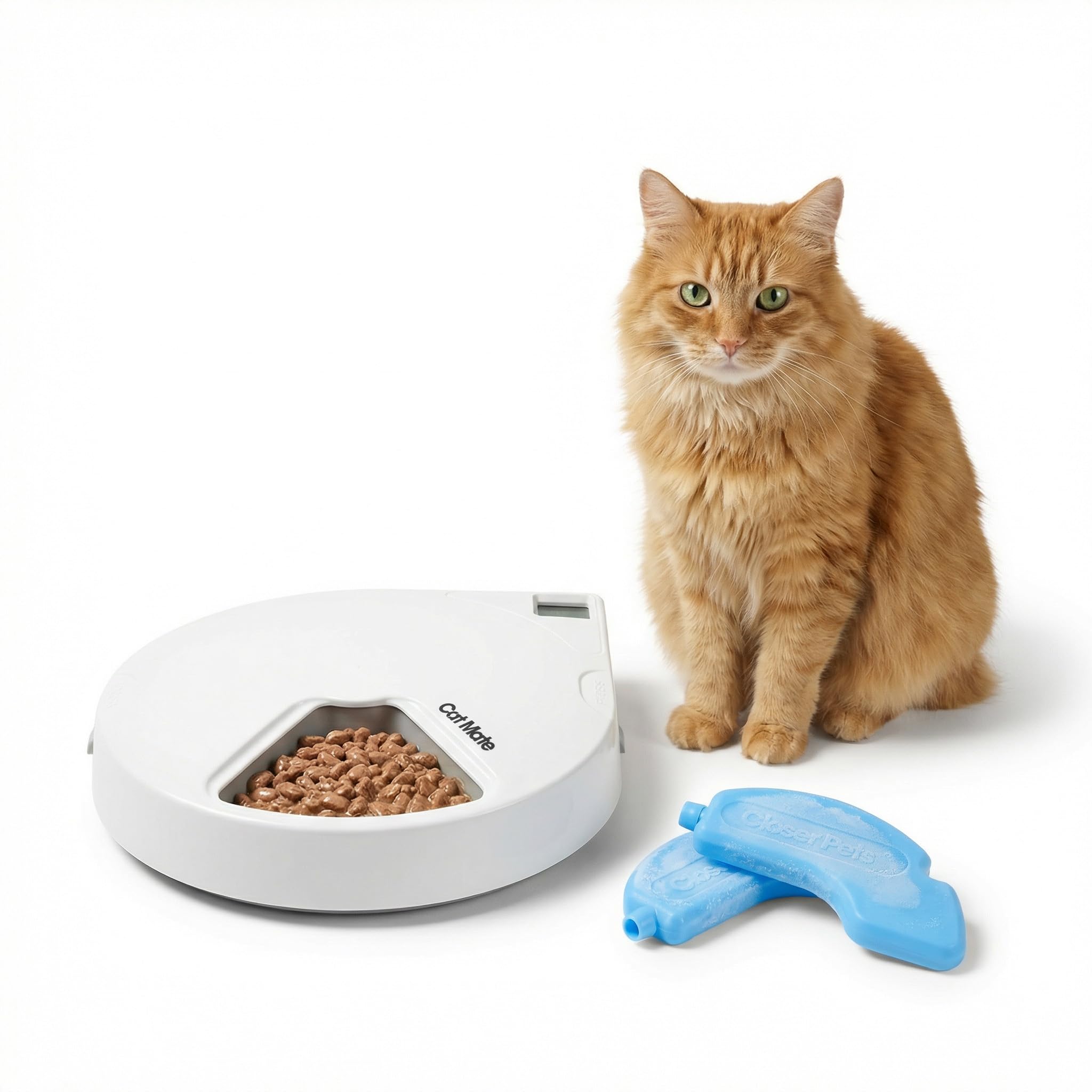 Dog Feeders